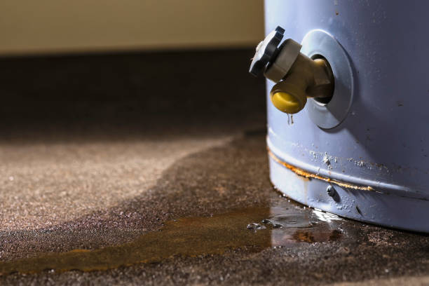 Best Water damage contractors near me  in Garrettsville, OH