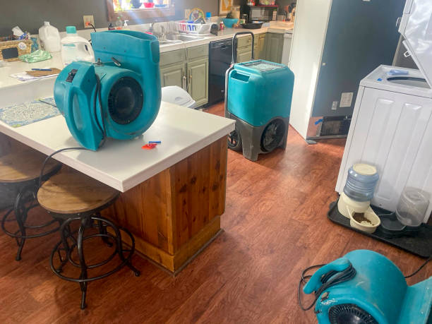 Best Water damage cleanup near me  in Garrettsville, OH