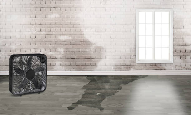 Best Residential water damage restoration  in Garrettsville, OH